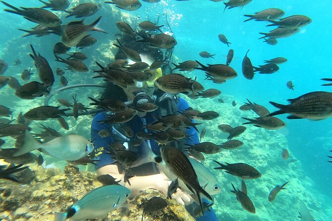 Alanya Scuba Diving Adventure: 2 Guided Dives with Lunch - Staff support and group size