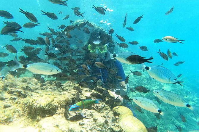 Alanya Scuba Diving Adventure: 2 Guided Dives with Lunch - Practical planning before you book
