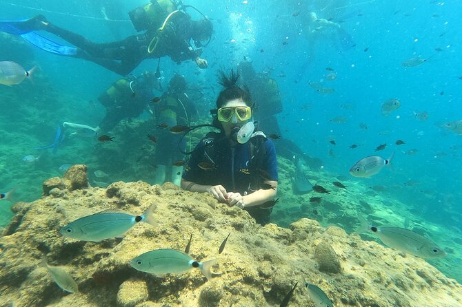 Alanya Scuba Diving Adventure: 2 Guided Dives with Lunch - Who will enjoy this experience most