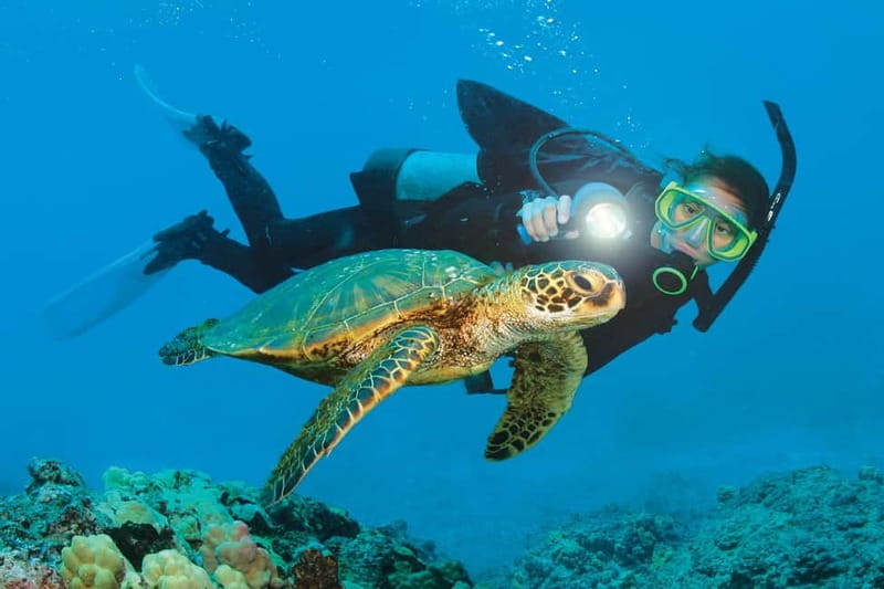 Alanya: Scuba Diving Adventure for Beginners & Professionals - Two Calm Sessions in Alanya’s Mediterranean Water