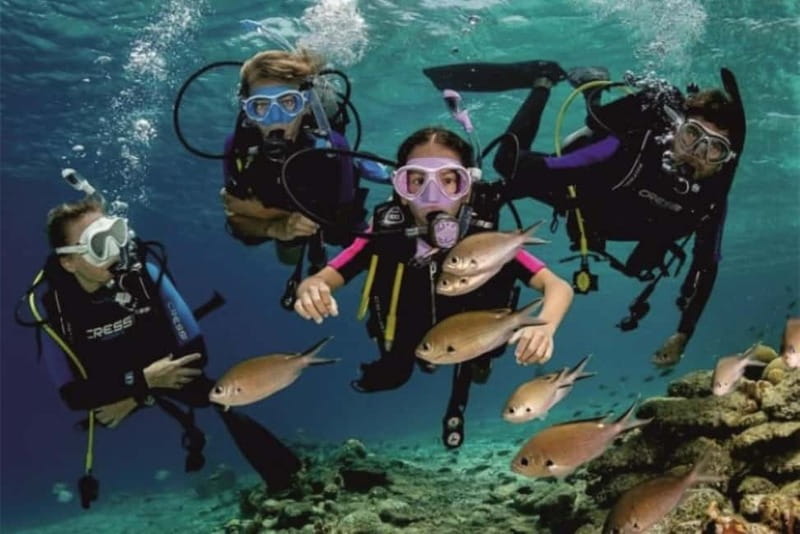 Alanya: Scuba Diving Adventure for Beginners & Professionals - What the $51 Price Really Covers