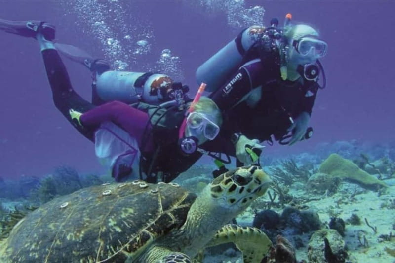 Alanya: Scuba Diving Adventure for Beginners & Professionals - Practical Tips for a Better Day