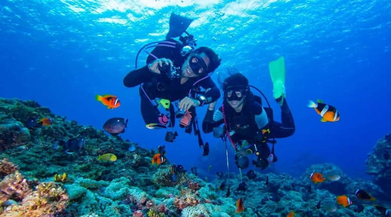 Alanya: Scuba Diving Adventure for Beginners & Professionals - The First 20 Minutes at 3 to 5 Meters