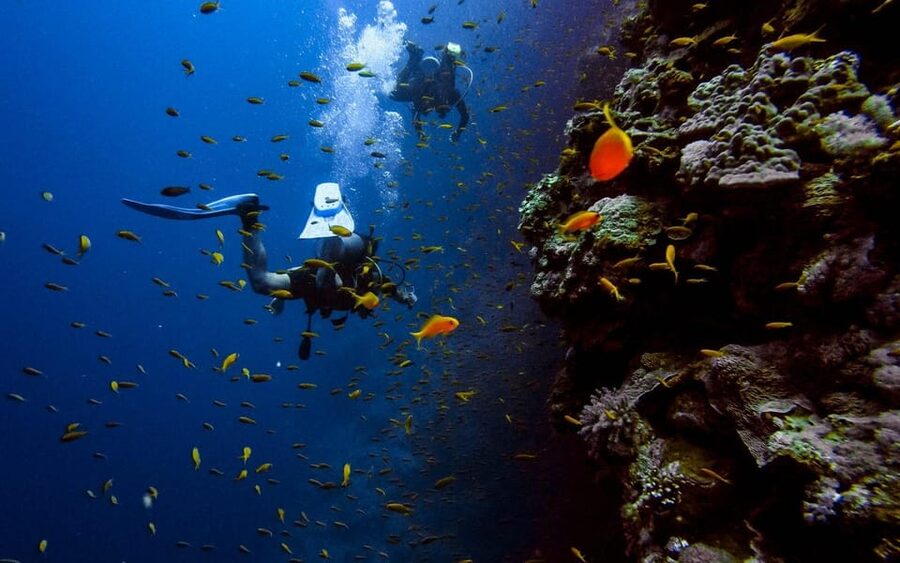 Alanya:Scuba Diving Boat Trip with Lunch and Transfer - A second site gives the trip more variety