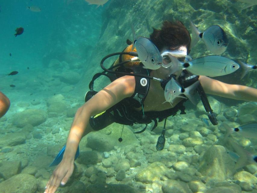 Alanya: Scuba Diving Experience with Lunch - Two short underwater sessions in Alanya
