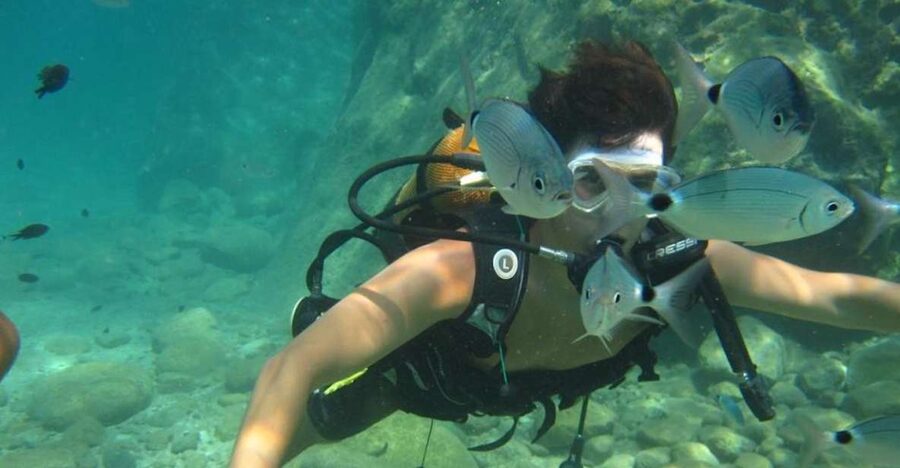 Alanya: Scuba Diving Experience with Lunch - The first 20-minute session