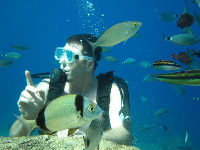 Alanya: Scuba Diving Experience with Lunch - Who will enjoy this Alanya boat day?