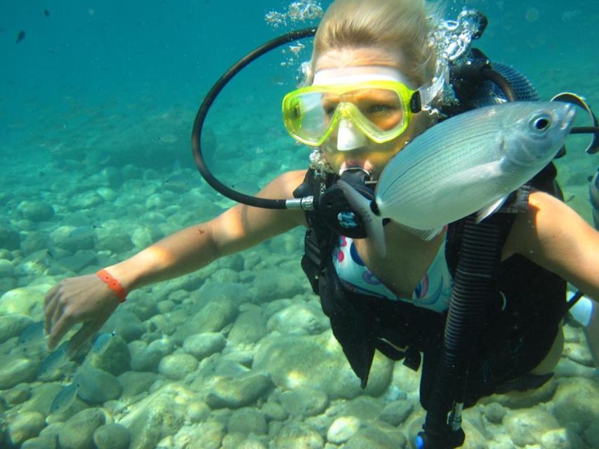Alanya: Scuba Diving Experience with Lunch - What happens at Alanya Marina around 9:30 am