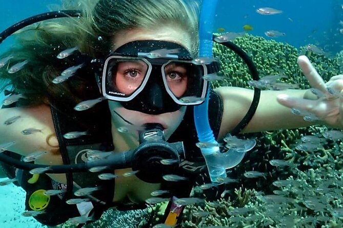 Alanya Scuba Diving for Beginners - Lunch between the two sessions