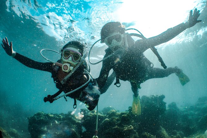 Alanya Scuba Diving for Beginners - The second guided session