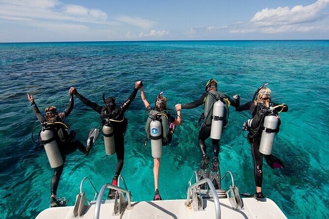 Alanya : Scuba Diving for Beginners w/ Lunch and Transfer - What your Alanya morning looks like