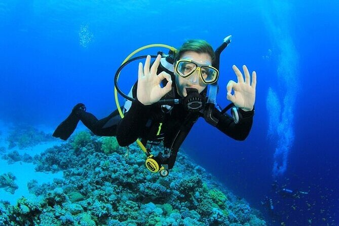 Alanya : Scuba Diving for Beginners w/ Lunch and Transfer - Learning the basics before entering the water