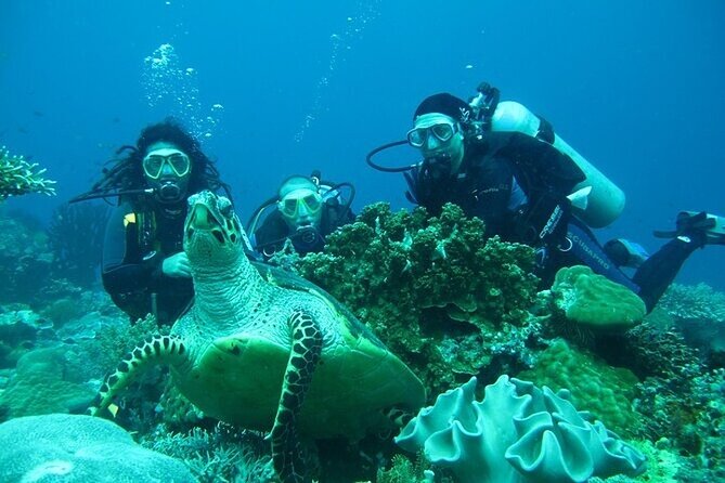 Alanya : Scuba Diving for Beginners w/ Lunch and Transfer - My verdict: a good first try at a low price