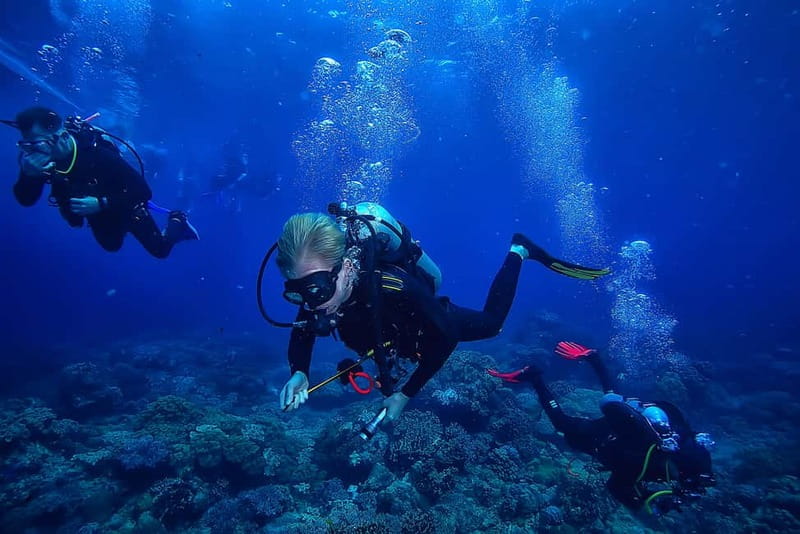Alanya: Scuba Diving Tour with Lunch and Hotel Transfers - What this Alanya scuba tour is really like