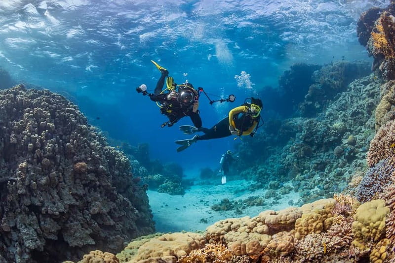 Alanya: Scuba Diving Tour with Lunch and Hotel Transfers - Hotel pickup and the trip to the boat