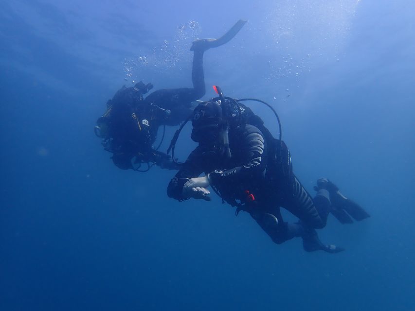 Albufeira: 2 DIVES TRIP (ONLY CERTIFIED DIVERS) - Meeting Easydivers at 8:30 AM