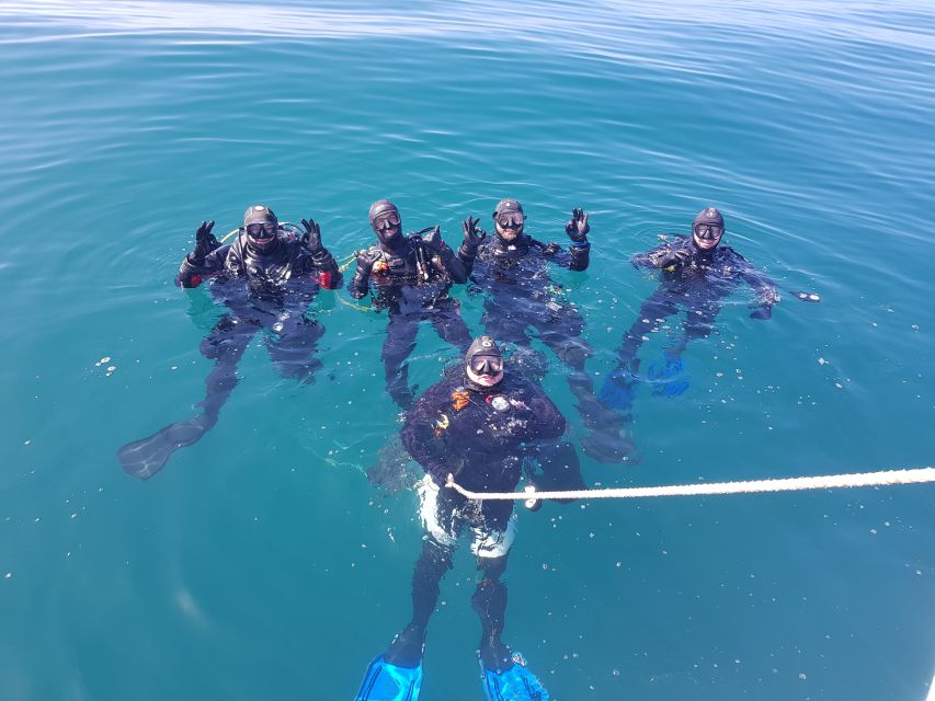 Albufeira: 2 DIVES TRIP (ONLY CERTIFIED DIVERS) - Boarding at Albufeira Marina