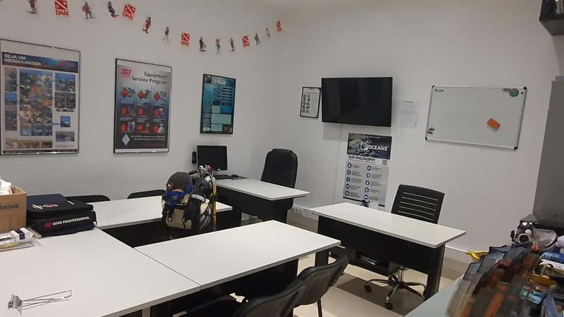 Albufeira: Scuba Diving Experience for Beginners - Who should book this experience