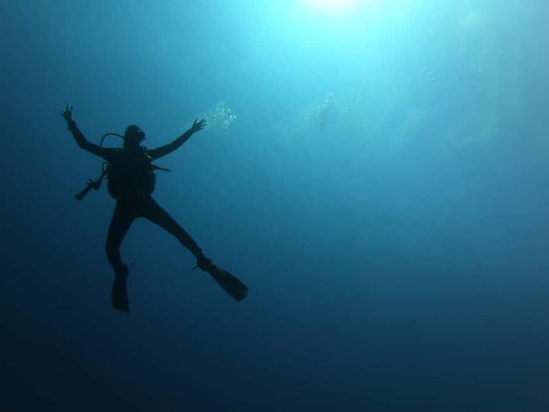 Alghero: Diving Experience - What the first underwater session feels like