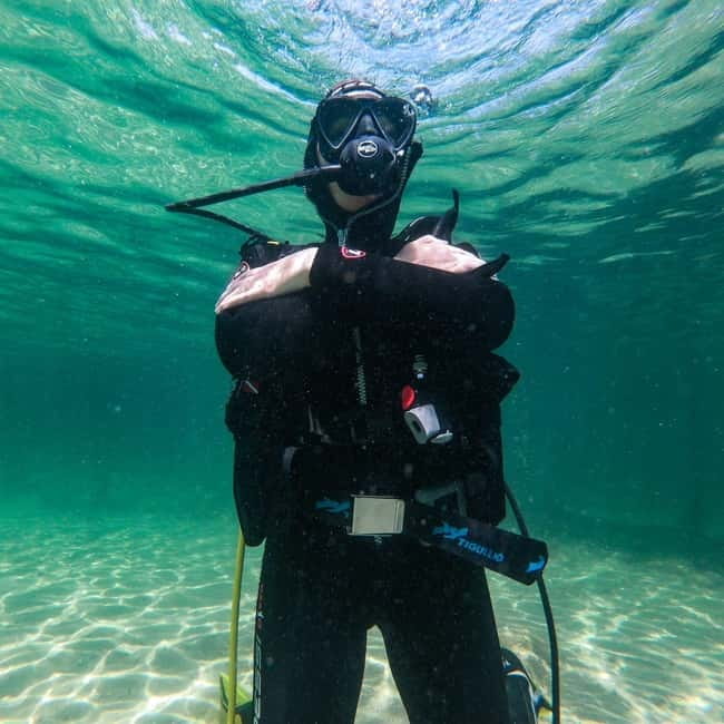 Alghero: Diving Experience - Beginners, certification, and comfort in the water