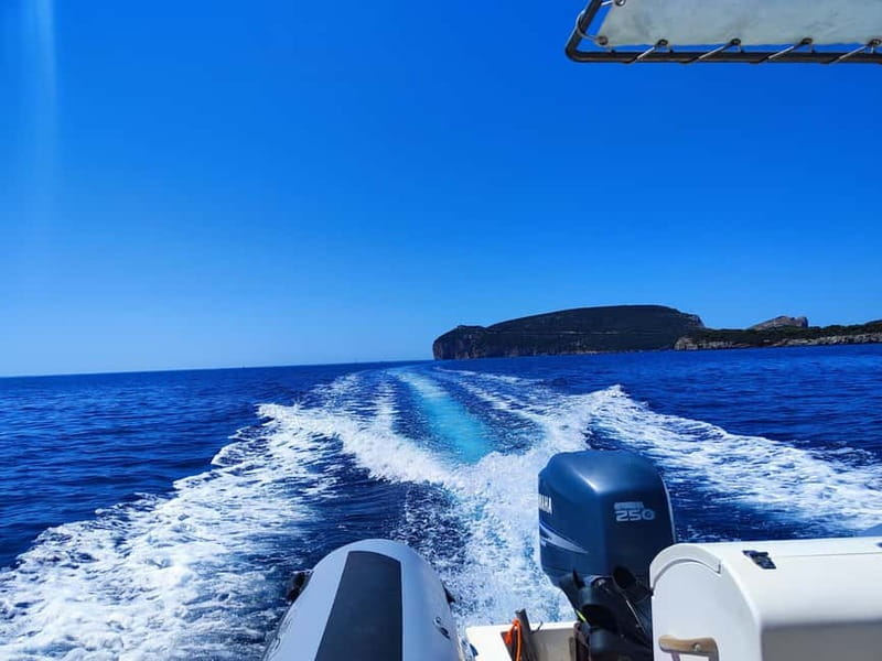 Alghero: Diving Experience - What the price includes, and what it does not promise
