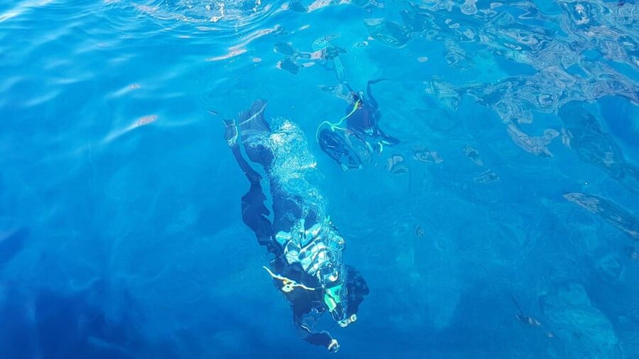 Alghero: diving for professionals at Capo Caccia - Who will get the most from this experience