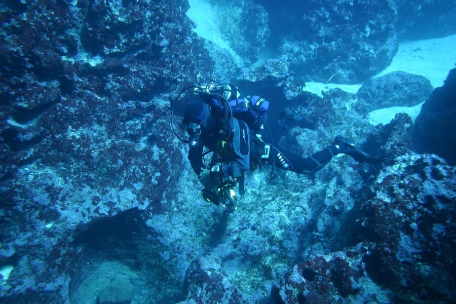 Alghero: diving for professionals at Capo Caccia - Why the guide makes a difference