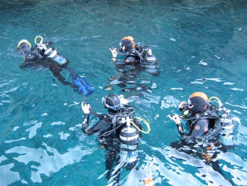 Alghero: diving for professionals at Capo Caccia - What the $74.20 price really covers