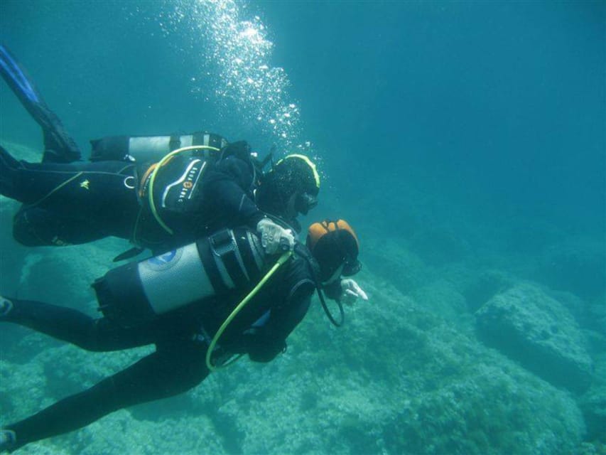 Alghero: diving for professionals at Capo Caccia - Underwater time among caves and rocky seabeds