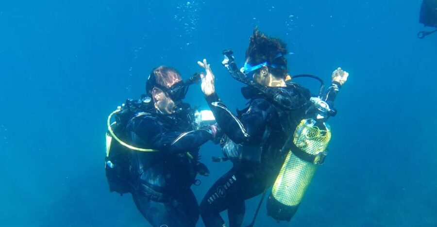 Alicante: Denia Beginners Scuba Diving Experience - Key details before you book