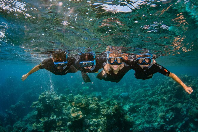 All Inclusive Great Barrier Reef Cruise w optional Scuba Diving - Should you book Reef Experience?