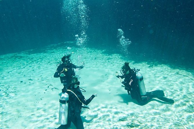 Amazing beginner dive in Tulum cenote (or refresher dive) - The 9 a.m. start at La Calypso
