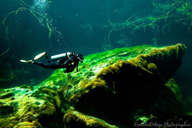 Amazing beginner dive in Tulum cenote (or refresher dive) - The instructors make the largest difference