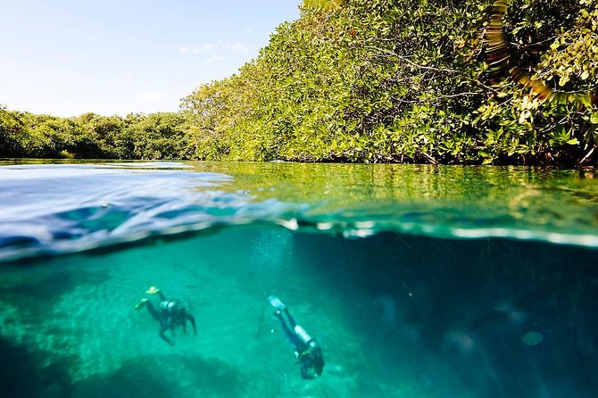 Amazing beginner dive in Tulum cenote (or refresher dive) - What the $140 price includes