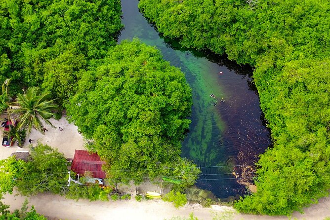 Amazing beginner dive in Tulum cenote (or refresher dive) - Timing, health, and practical planning