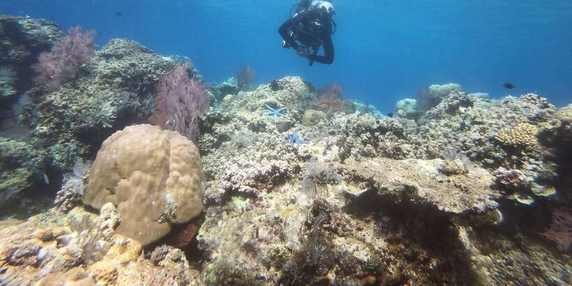 Amed: Guided Scuba Dive for Beginners/Non Certified divers - The long ride east from your hotel