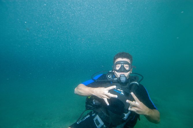 Anavyssos Athens Riviera: Beginners' Guided Try Scuba Diving - Is the $90.51 price good value?