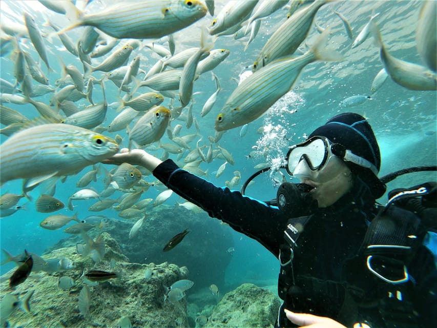 Antalya and Kemer: Full Day Scuba Diving Tour with Lunch - Key points to know before booking