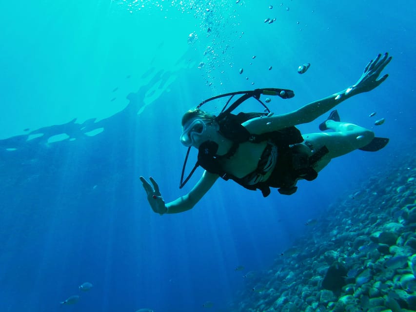 Antalya and Kemer: Full Day Scuba Diving Tour with Lunch - The first underwater stop: reefs, fish, and expectations