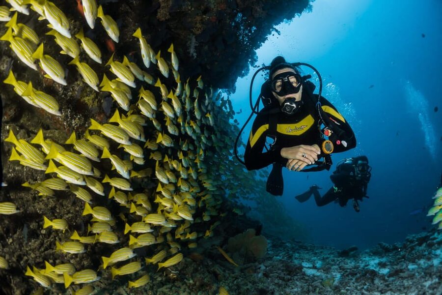 Antalya/ Belek Scuba Diving Tour With 2 Time Dive & Lunch - Key points to know before booking