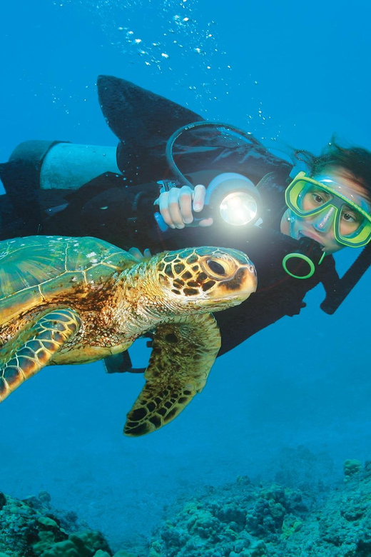 Antalya/ Belek Scuba Diving Tour With 2 Time Dive & Lunch - A calm first step beneath the Mediterranean