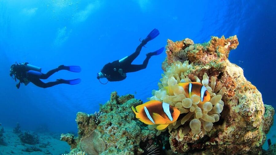 Antalya/ Belek Scuba Diving Tour With 2 Time Dive & Lunch - What the $39 price really covers