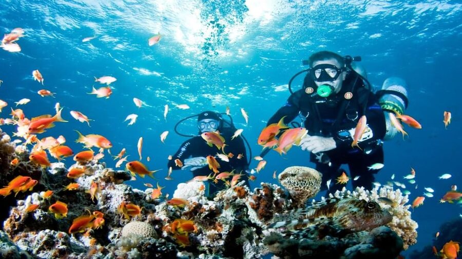 Antalya/ Belek Scuba Diving Tour With 2 Time Dive & Lunch - Who will enjoy this most