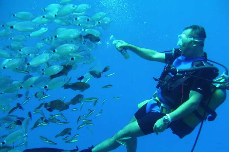 Antalya/ Kemer/ Belek Scuba Diving With Lunch & Transfer - From your hotel to Kemer’s open water