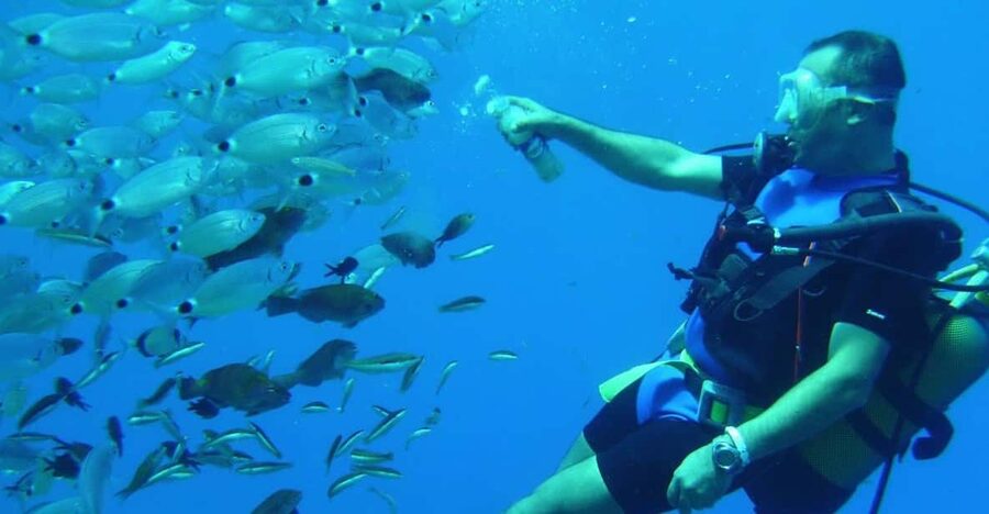 Antalya/ Kemer/ Belek Scuba Diving With Lunch & Transfer - What the two 20-minute sessions are like