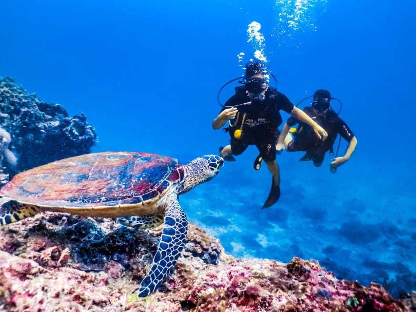 Antalya/ Kemer/ Belek Scuba Diving With Lunch & Transfer - What the feedback tells you