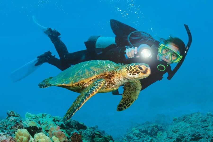 Antalya/ Kemer/ Belek Scuba Diving With Lunch & Transfer - Booking details that affect your day