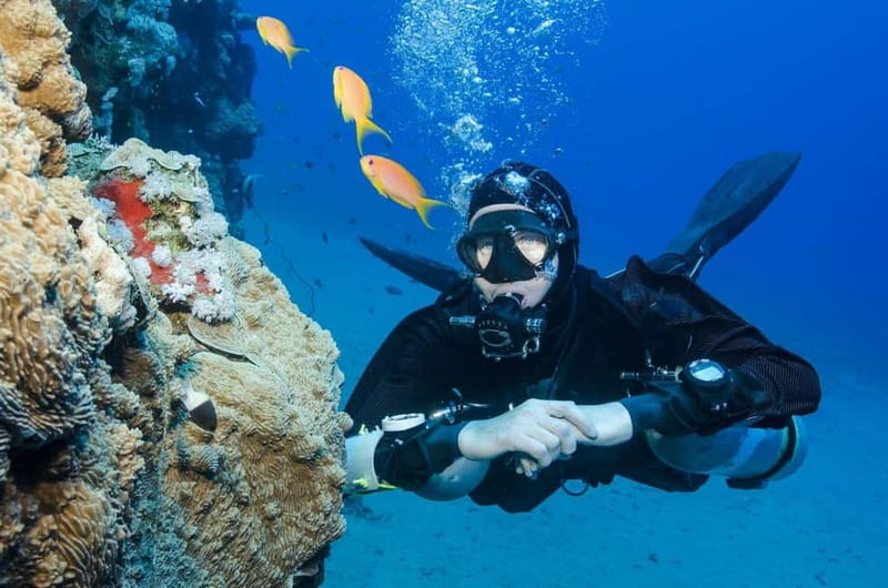 Antalya/Kemer: Scuba Diving Experience with 2 Dives & Lunch - Akvaryum Bay: your first breath underwater
