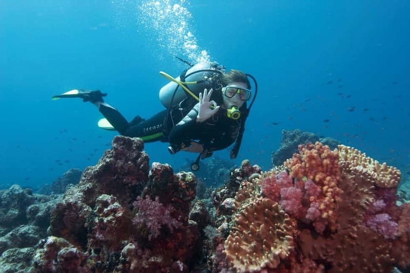 Antalya/Kemer: Scuba Diving Experience with 2 Dives & Lunch - Photos, videos, and the real cost