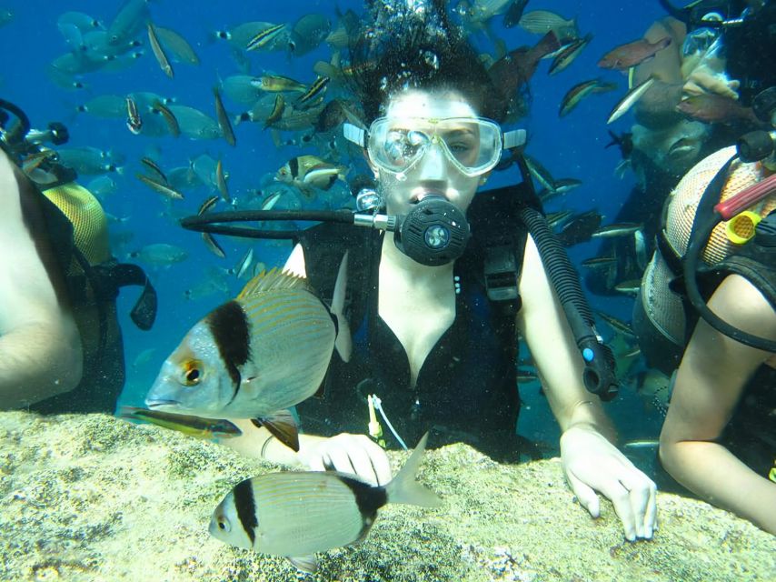 Antalya/Kemer: Scuba Diving Experience with Lunch & Pick up - Key points to know before booking